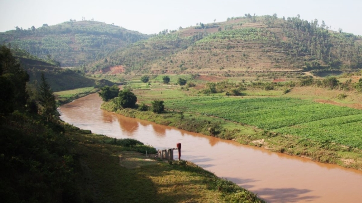 Nature-based Solutions as a Path to Coastal Resilience in West Africa